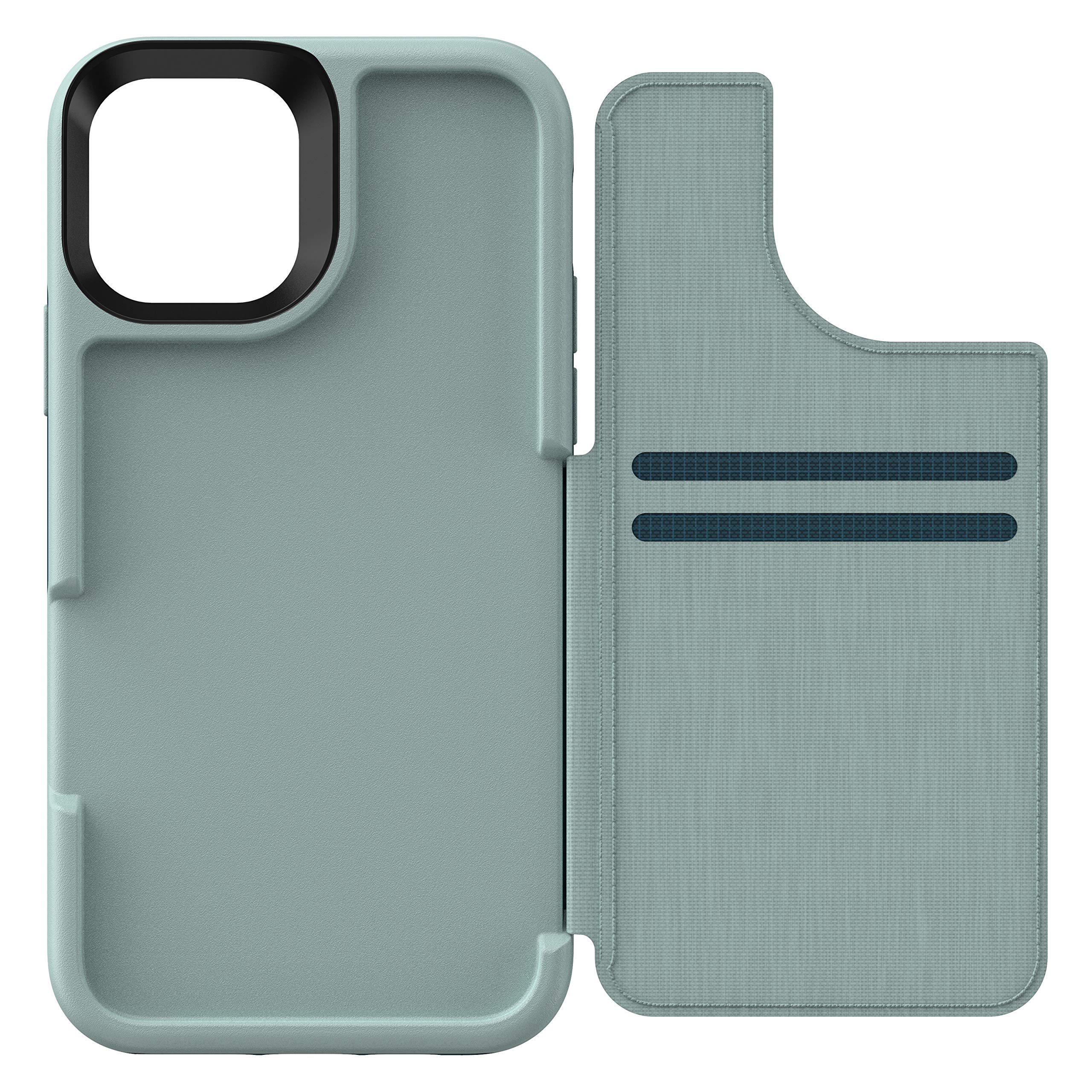 Amazon.com: LifeProof FLIP SERIES Wallet Case for iPhone 11